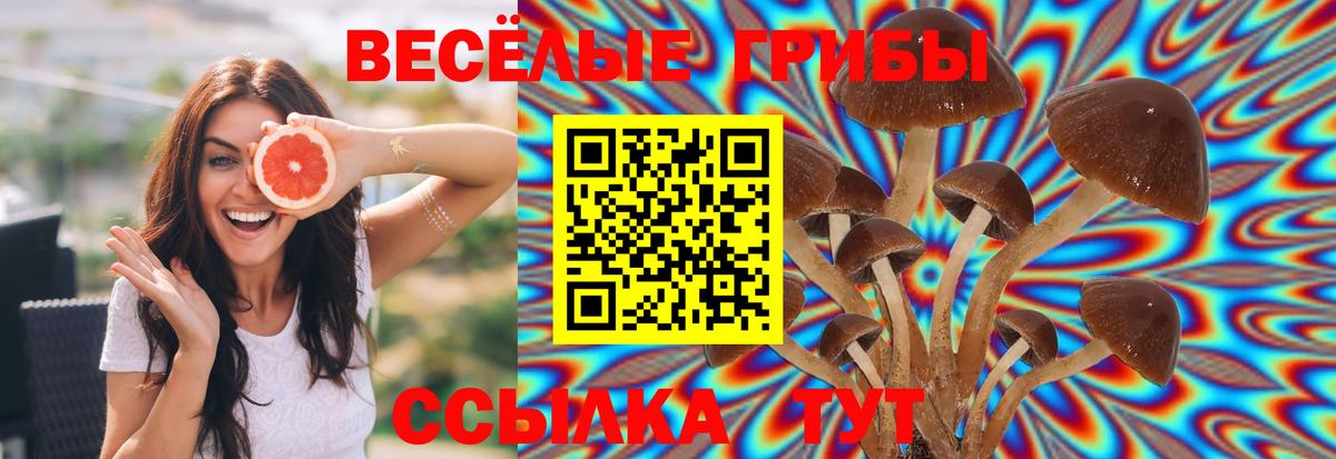 Галлюциногенные грибы мухоморы Богородск