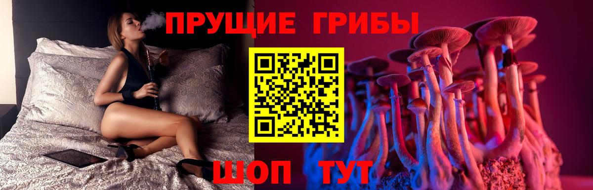 Псилоцибиновые грибы прущие грибы  Вход с VPN  где купить наркоту  Богородск 